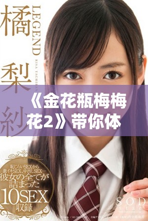 《金花瓶梅梅花2》帶你體驗(yàn)經(jīng)典劇情的全新篇章與感人故事展現(xiàn)