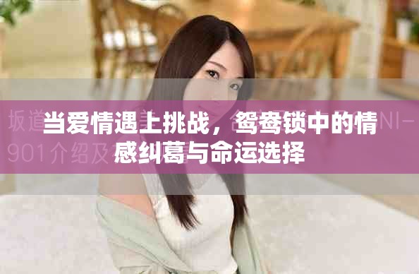 當愛情遇上挑戰(zhàn)，鴛鴦鎖中的情感糾葛與命運選擇