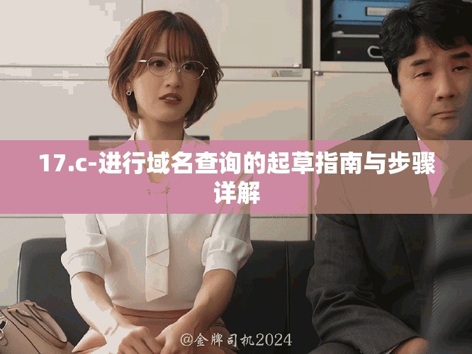 17.c-進(jìn)行域名查詢的起草指南與步驟詳解