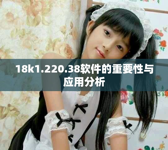 18k1.220.38軟件的重要性與應(yīng)用分析