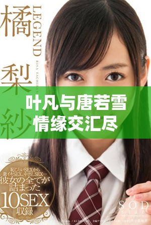 葉凡與唐若雪情緣交匯盡在小說(shuō)全文免費(fèi)閱讀完整版中