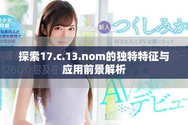 探索17.c.13.nom的獨(dú)特特征與應(yīng)用前景解析