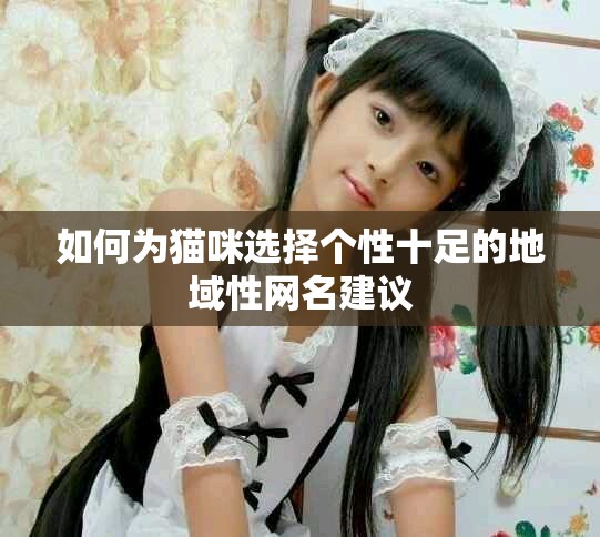 如何為貓咪選擇個性十足的地域性網(wǎng)名建議