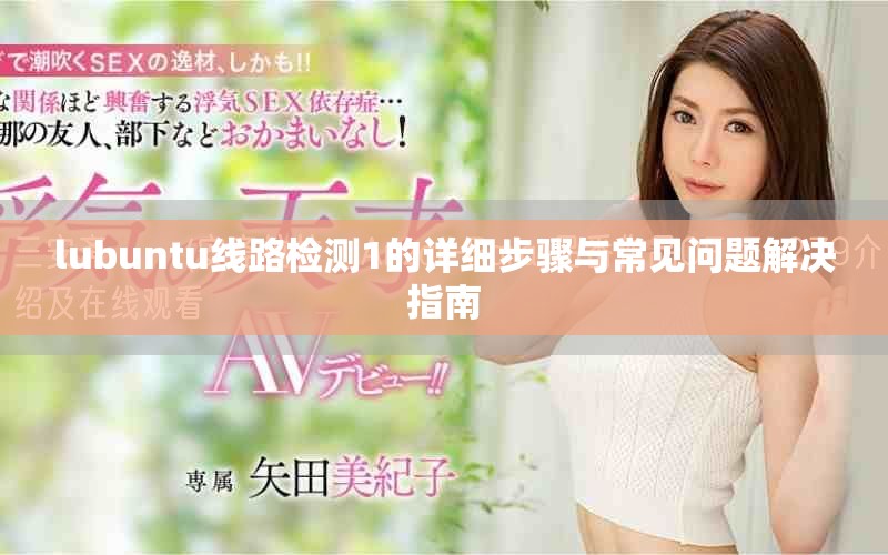 lubuntu線路檢測(cè)1的詳細(xì)步驟與常見(jiàn)問(wèn)題解決指南