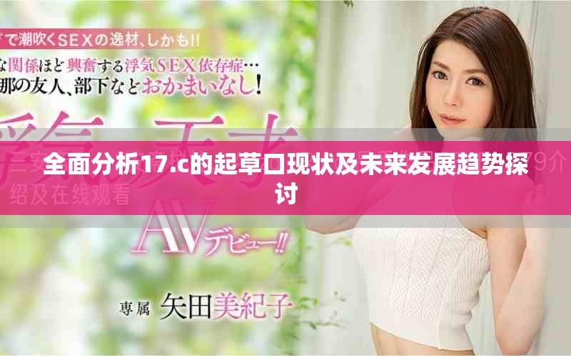 全面分析17.c的起草口現(xiàn)狀及未來發(fā)展趨勢探討