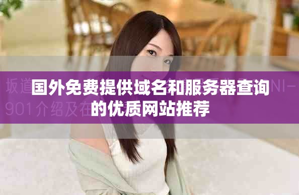 國外免費(fèi)提供域名和服務(wù)器查詢的優(yōu)質(zhì)網(wǎng)站推薦