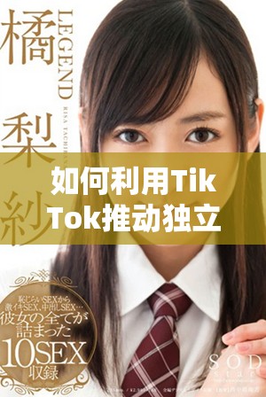 如何利用TikTok推動(dòng)獨(dú)立站流量增長(zhǎng)與品牌知名度提升