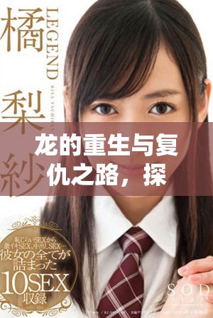 龍的重生與復(fù)仇之路，探索神秘力量的崛起與傳奇之旅