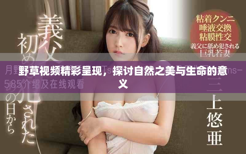 野草視頻精彩呈現(xiàn)，探討自然之美與生命的意義