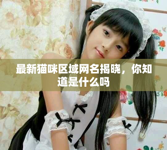 最新貓咪區(qū)域網(wǎng)名揭曉，你知道是什么嗎