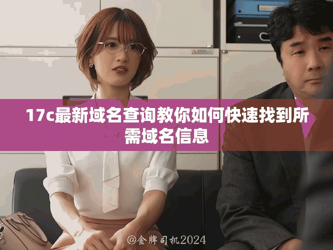 17c最新域名查詢教你如何快速找到所需域名信息