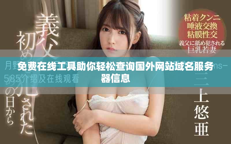 免費(fèi)在線工具助你輕松查詢國外網(wǎng)站域名服務(wù)器信息
