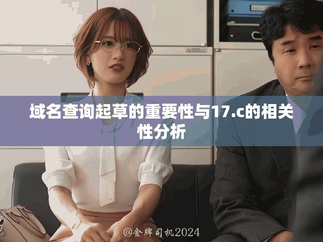 域名查詢起草的重要性與17.c的相關性分析