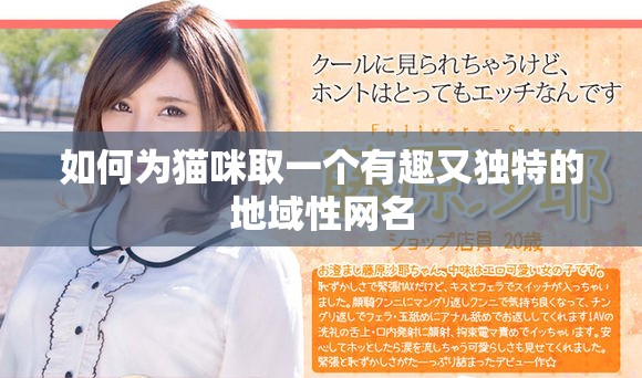 如何為貓咪取一個(gè)有趣又獨(dú)特的地域性網(wǎng)名