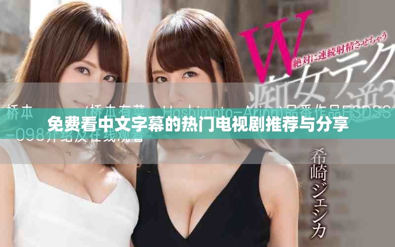 免費(fèi)看中文字幕的熱門(mén)電視劇推薦與分享