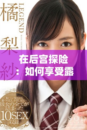 在后宮探險(xiǎn)：如何享受露營(yíng)帶來的獨(dú)特魅力與樂趣