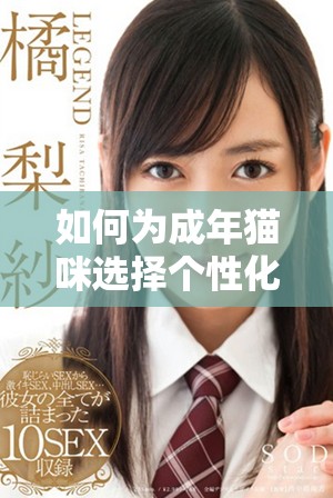 如何為成年貓咪選擇個(gè)性化的地域網(wǎng)名技巧分享