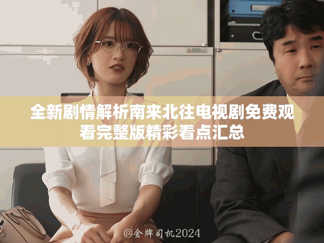 全新劇情解析南來北往電視劇免費觀看完整版精彩看點匯總
