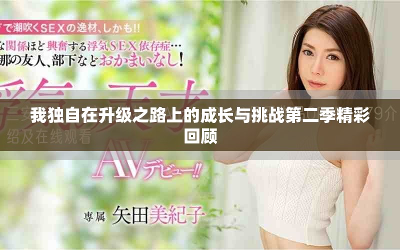 我獨(dú)自在升級之路上的成長與挑戰(zhàn)第二季精彩回顧