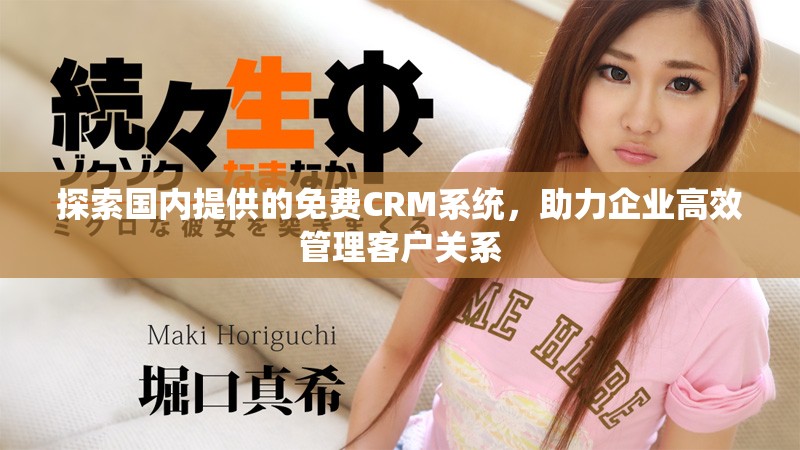 探索國內(nèi)提供的免費CRM系統(tǒng)，助力企業(yè)高效管理客戶關系