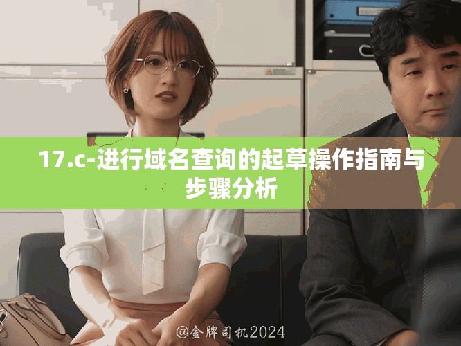 17.c-進行域名查詢的起草操作指南與步驟分析