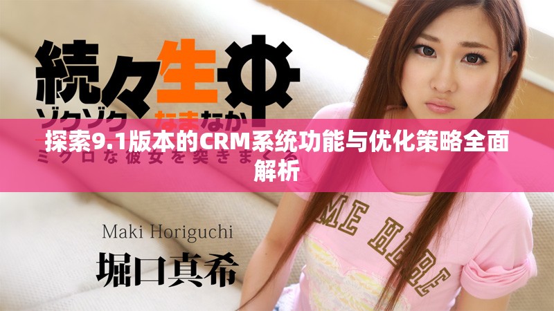 探索9.1版本的CRM系統(tǒng)功能與優(yōu)化策略全面解析