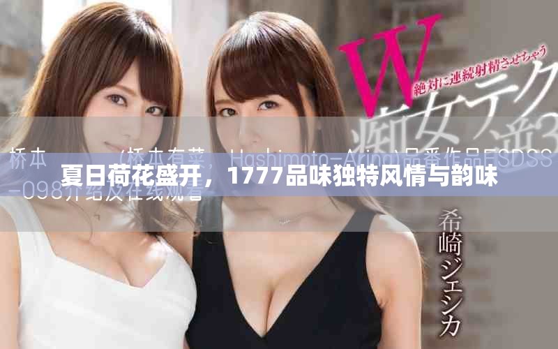 夏日荷花盛開，1777品味獨(dú)特風(fēng)情與韻味