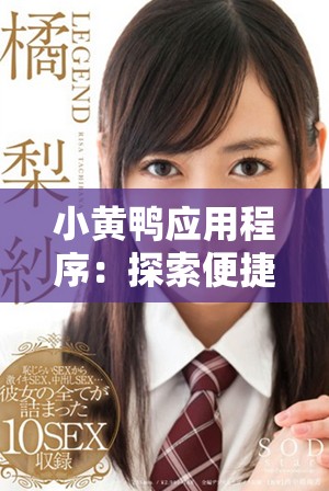 小黃鴨應用程序：探索便捷生活服務的新平臺與功能解析