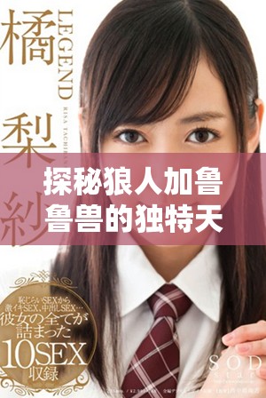 探秘狼人加魯魯獸的獨特天賦及澳彩心水分析技巧