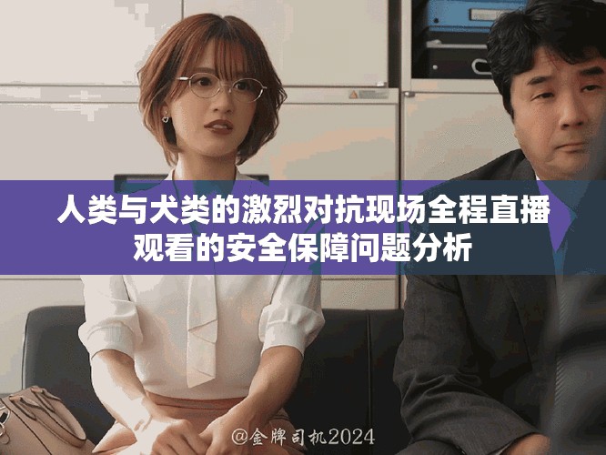 人類與犬類的激烈對抗現(xiàn)場全程直播觀看的安全保障問題分析