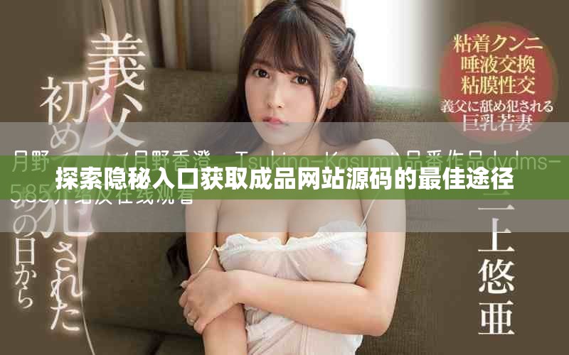 探索隱秘入口獲取成品網(wǎng)站源碼的最佳途徑