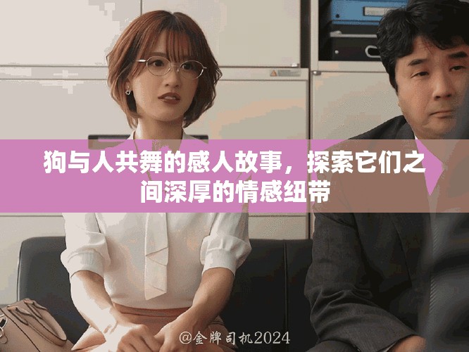 狗與人共舞的感人故事，探索它們之間深厚的情感紐帶