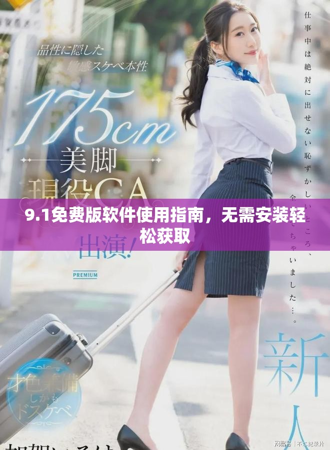 9.1免費(fèi)版軟件使用指南，無需安裝輕松獲取