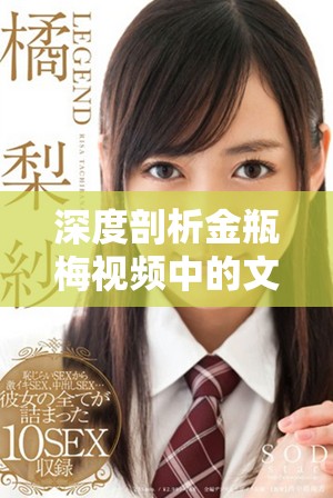 深度剖析金瓶梅視頻中的文化內(nèi)涵與藝術(shù)表現(xiàn)形式