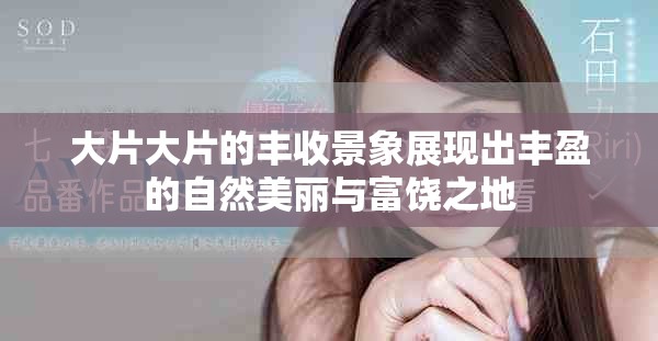 大片大片的豐收景象展現(xiàn)出豐盈的自然美麗與富饒之地