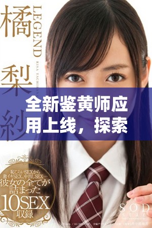 全新鑒黃師應(yīng)用上線，探索網(wǎng)絡(luò)內(nèi)容安全的新方式與新技術(shù)