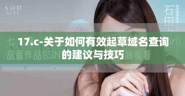 17.c-關(guān)于如何有效起草域名查詢的建議與技巧