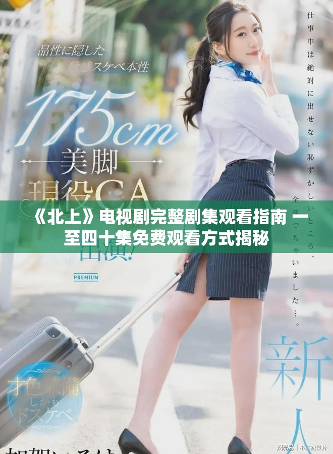 《北上》電視劇完整劇集觀看指南 一至四十集免費(fèi)觀看方式揭秘