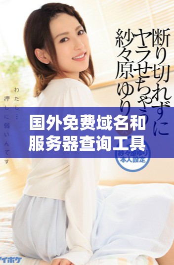 國(guó)外免費(fèi)域名和服務(wù)器查詢工具推薦及使用指南