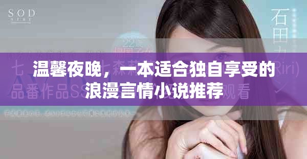 溫馨夜晚，一本適合獨(dú)自享受的浪漫言情小說推薦