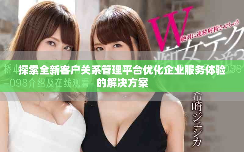 探索全新客戶關(guān)系管理平臺優(yōu)化企業(yè)服務(wù)體驗的解決方案