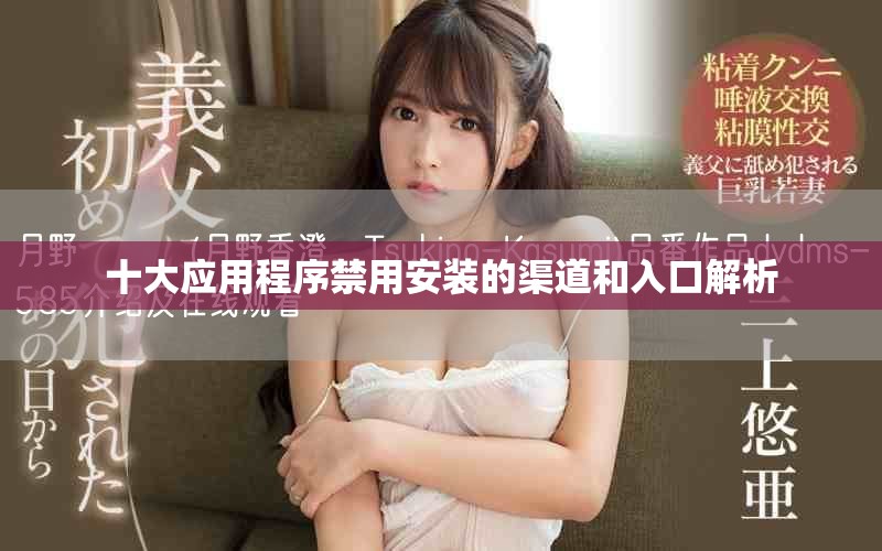 十大應(yīng)用程序禁用安裝的渠道和入口解析