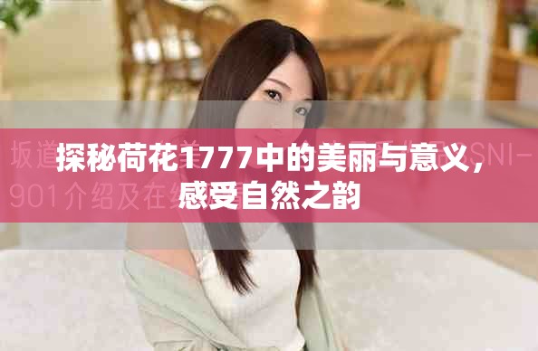 探秘荷花1777中的美麗與意義，感受自然之韻