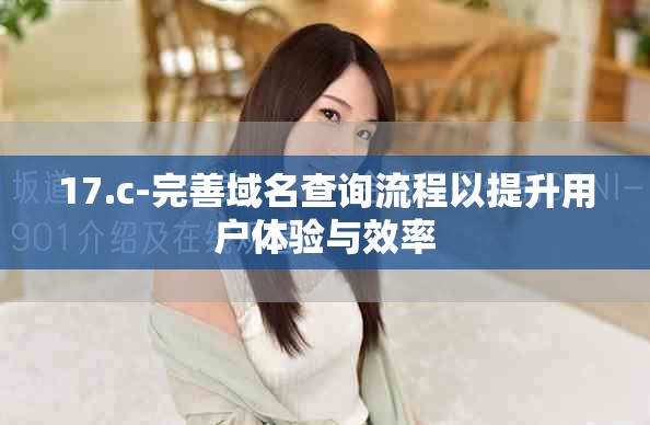 17.c-完善域名查詢流程以提升用戶體驗與效率