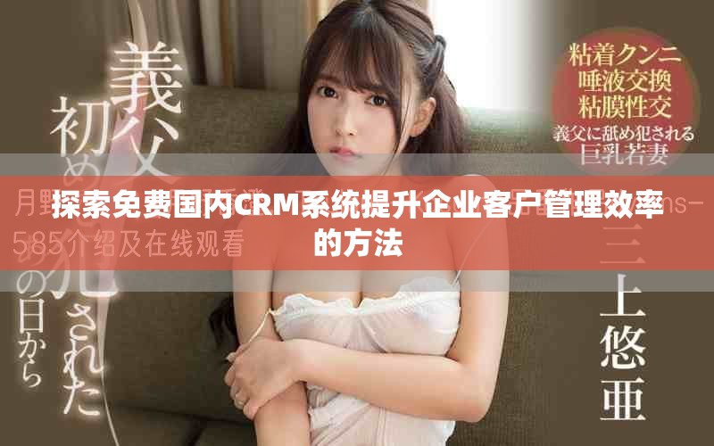 探索免費(fèi)國(guó)內(nèi)CRM系統(tǒng)提升企業(yè)客戶管理效率的方法