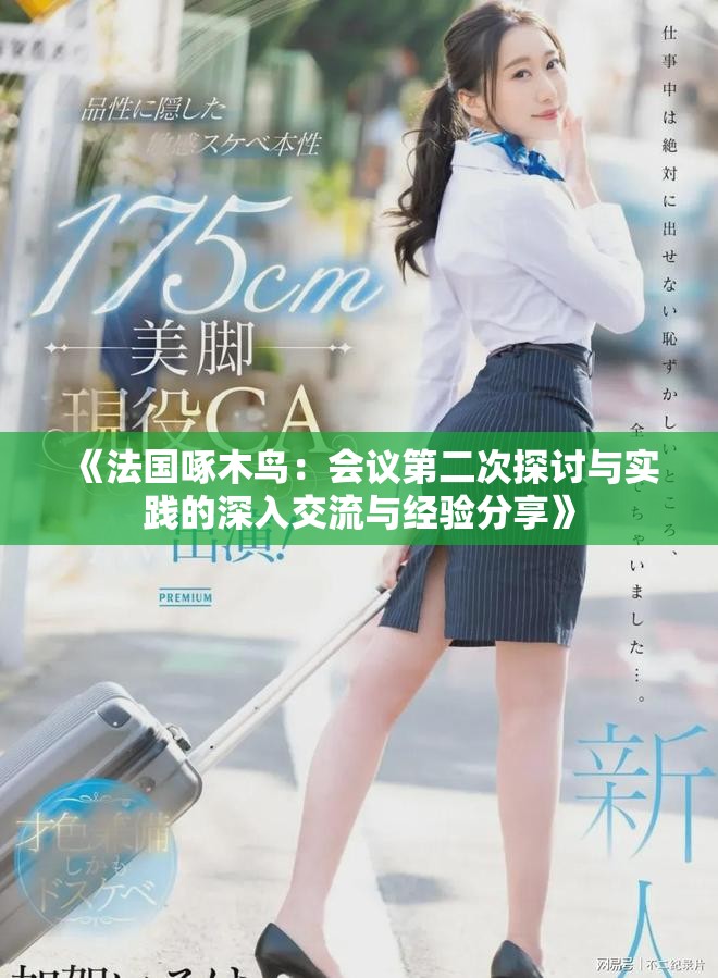 《法國啄木鳥：會議第二次探討與實(shí)踐的深入交流與經(jīng)驗分享》