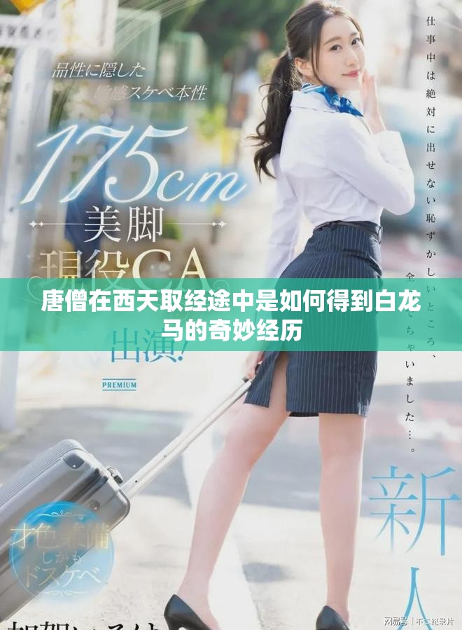 唐僧在西天取經(jīng)途中是如何得到白龍馬的奇妙經(jīng)歷