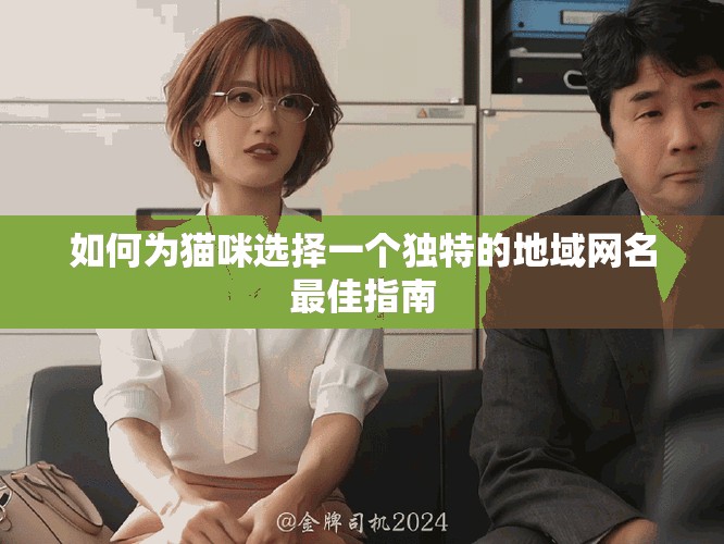 如何為貓咪選擇一個(gè)獨(dú)特的地域網(wǎng)名最佳指南