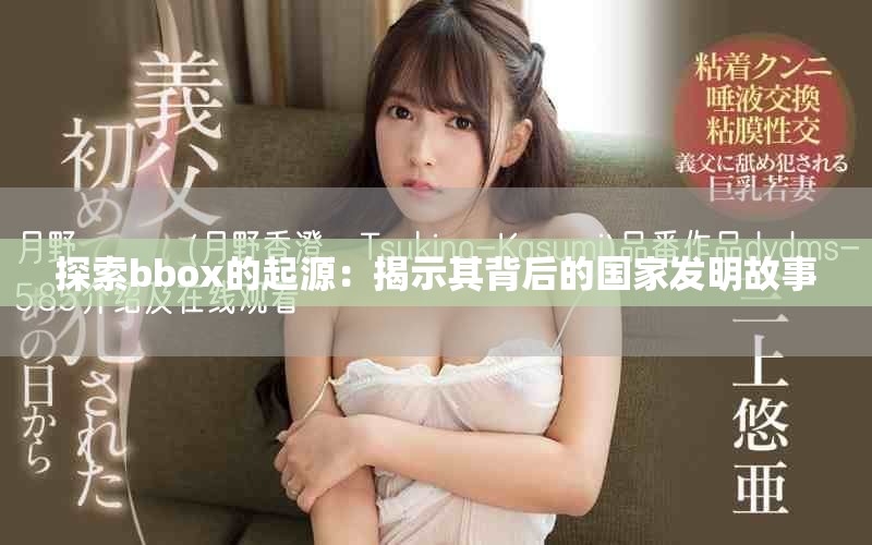 探索bbox的起源：揭示其背后的國(guó)家發(fā)明故事