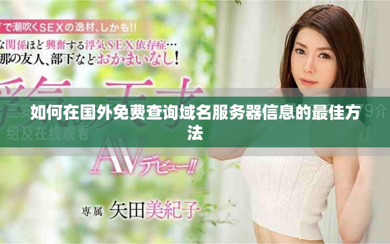 如何在國(guó)外免費(fèi)查詢域名服務(wù)器信息的最佳方法